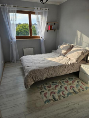 Apartament u Pati II